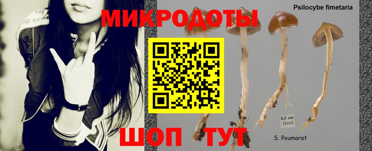 Тутаев  Псилоцибиновые грибы прущие грибы  магазин продажи   Вход с VPN  Галлюциногенные грибы ЛСД 